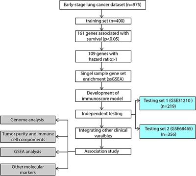 Immunoscore Predicts Survival in Early-Stage Lung Adenocarcinoma Patients